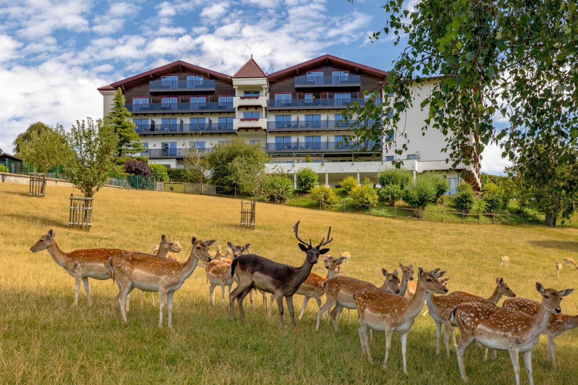 Natur- Und Wohlfuehlhotel Kastenholz Wershofen Eksteriør bilde